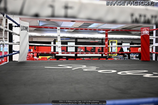 2024-11-16 Milano in the Cage 13 00114 Miscellaneous